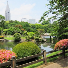 Shinjuku Gyoen